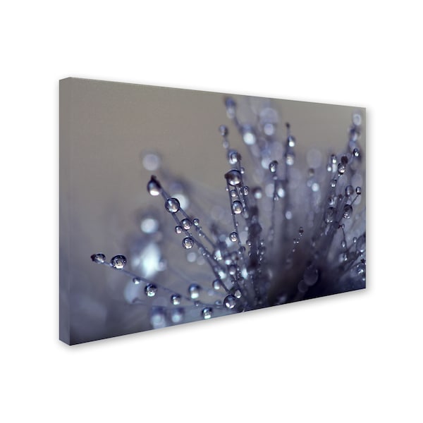 Beata Czyzowska Young 'Evening Jewels' Canvas Art,30x47